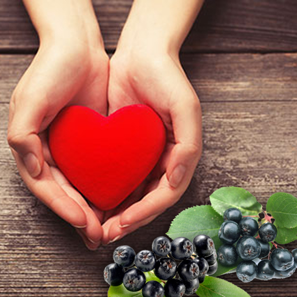 Aronia Berry for the heart
